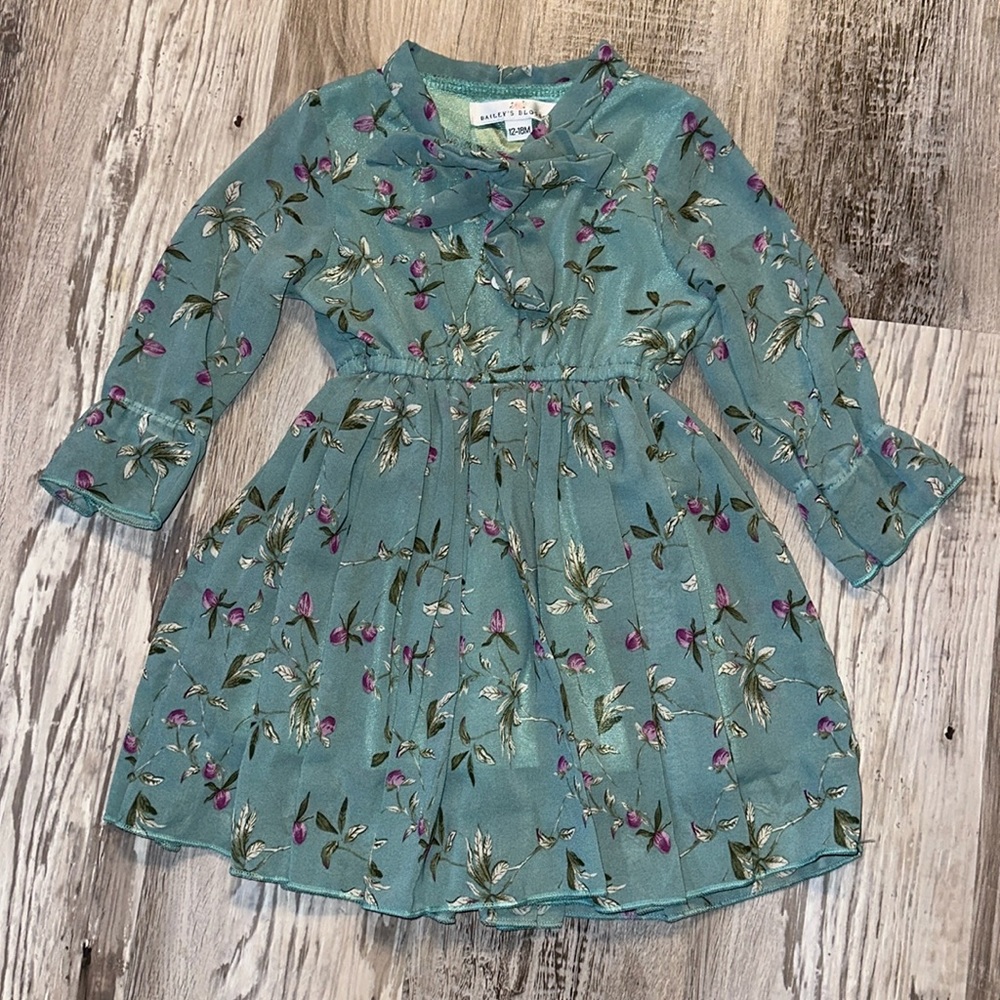 Bailey’s Blossoms 12-18M Dress